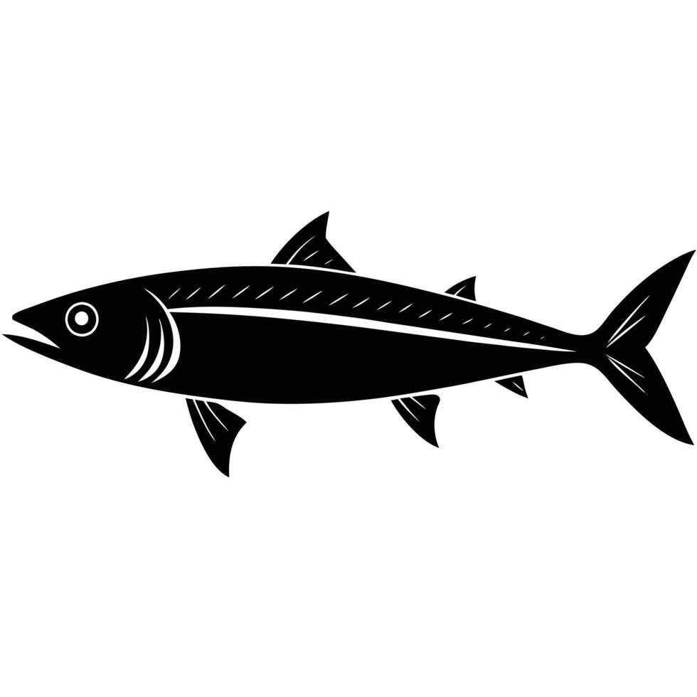 mackerel isolated on white vector