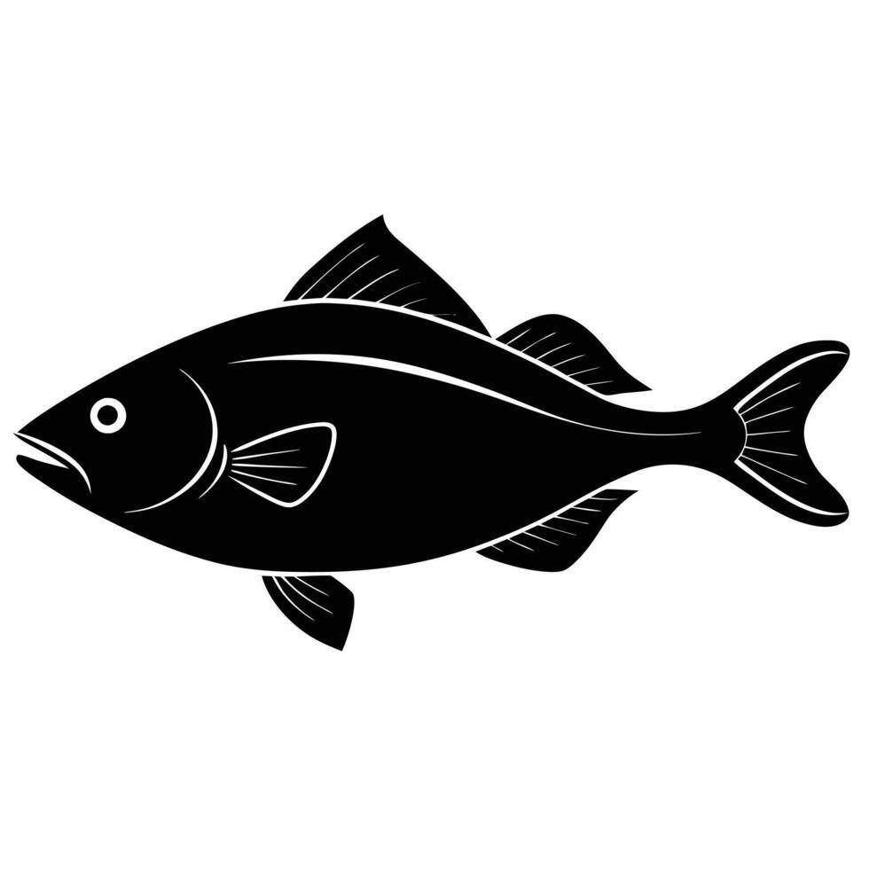halibut illustration on white vector