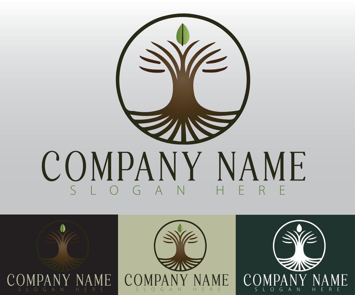 A logo design concept centered around the image of a tree, tailored for a company that specializes in health, wellness, and natural products. vector