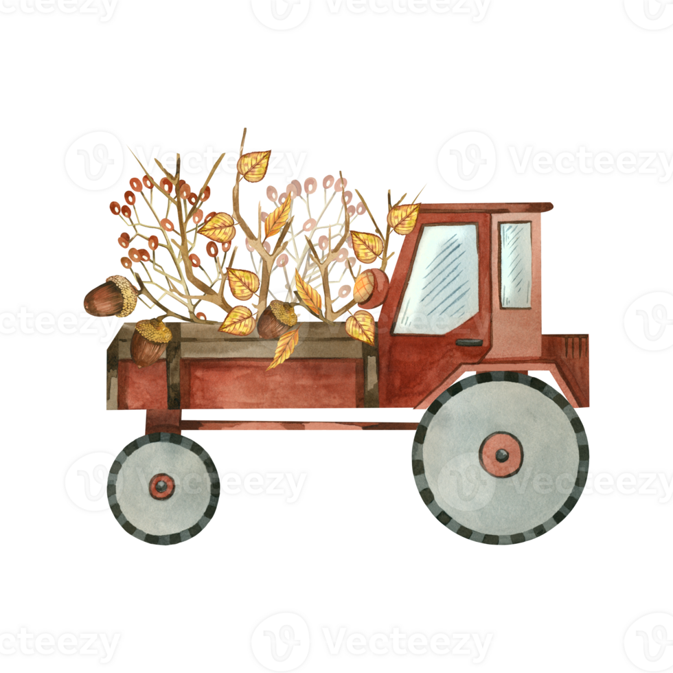 Red garden tractor with a body, with autumn leaves, berries and bare tree branches in the body. All objects are hand-drawn with watercolors. Watercolor illustration. For printing on fabric, paper png