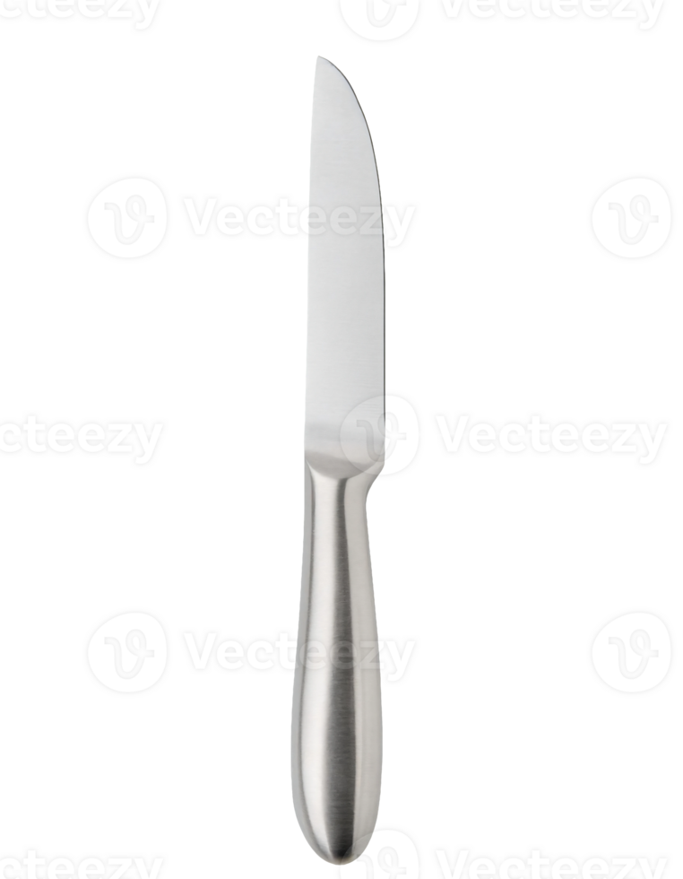 stainless steel dinner knife with polished handle isolated background png