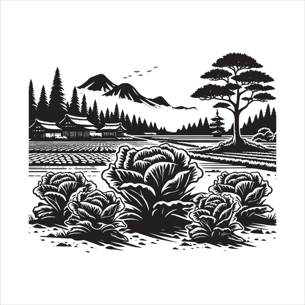 Green Lettuce Rows in a Farm Field vector