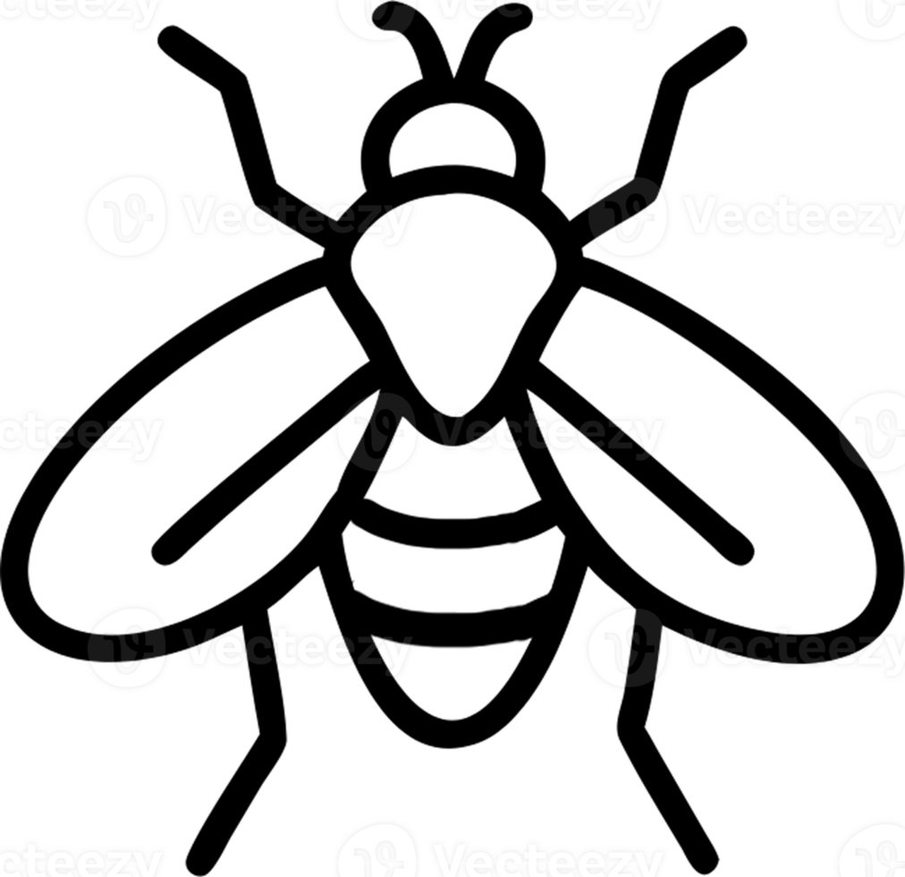 Fly in outline icon style, insects, animal theme. png