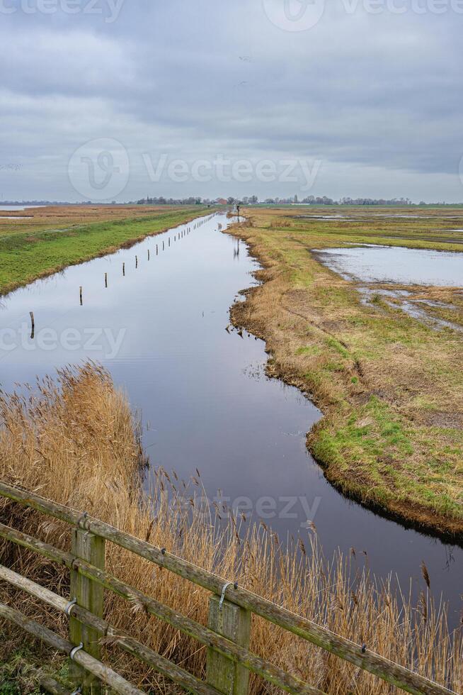 Beautifull Nature reserve in Workum, Friesland.. photo