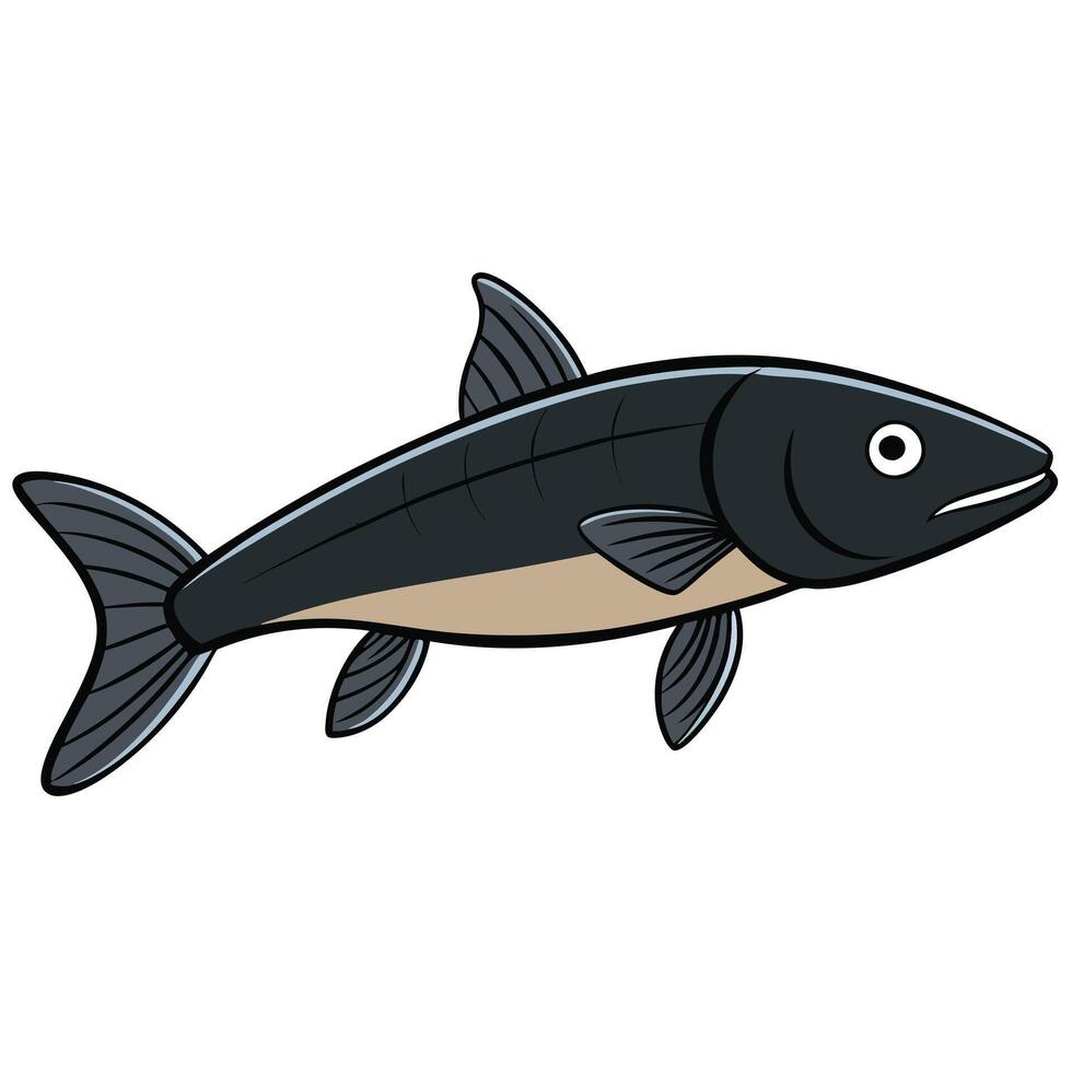 Gar Fish Line Art for Fish Species Identification Guides vector