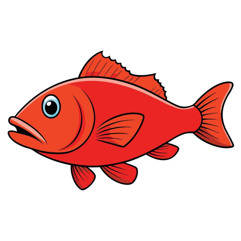 Grouper Art for Marine Education vector