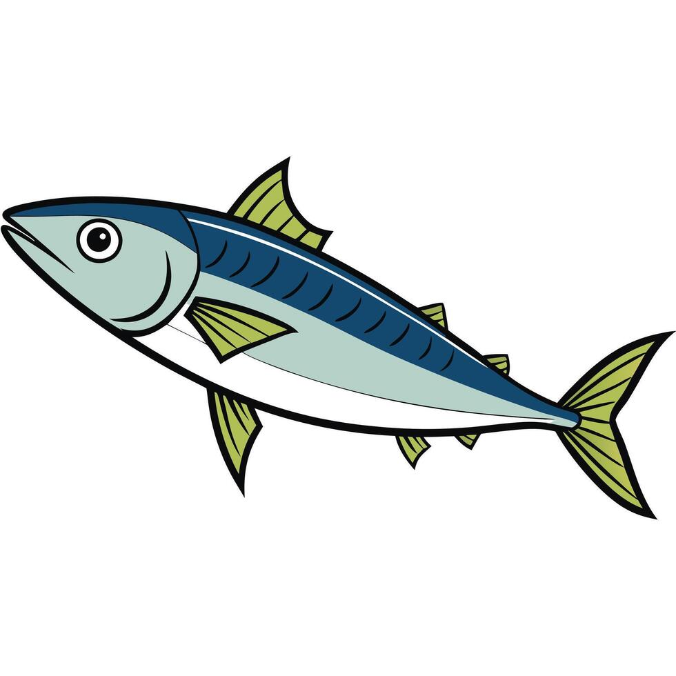 Mackerel Fish Sketch Design for Cooking vector