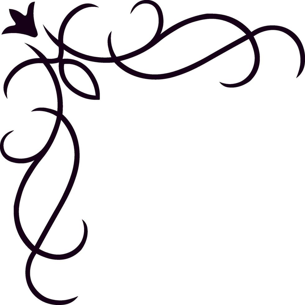 Swirling lines and floral shapes create an elegant corner ornament, adding a touch of sophistication to invitations, announcements, or certificates on a clean white backdrop vector