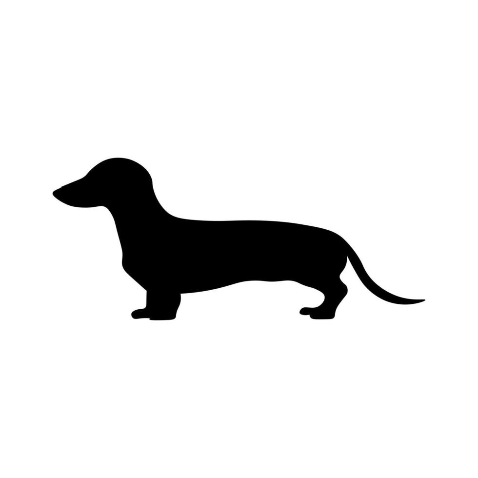 Dog silhouette isolated on white background. Dachshund silhouette 1 vector