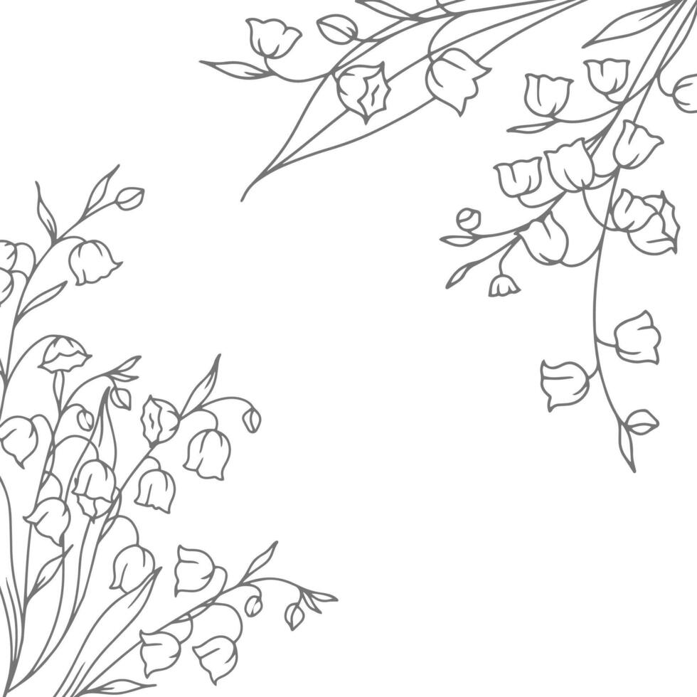 Lily of the Valley Outline. Botanical Background trendy minimalist flowers. Hand drawn floral background template. Floral Line Art Illustration. vector