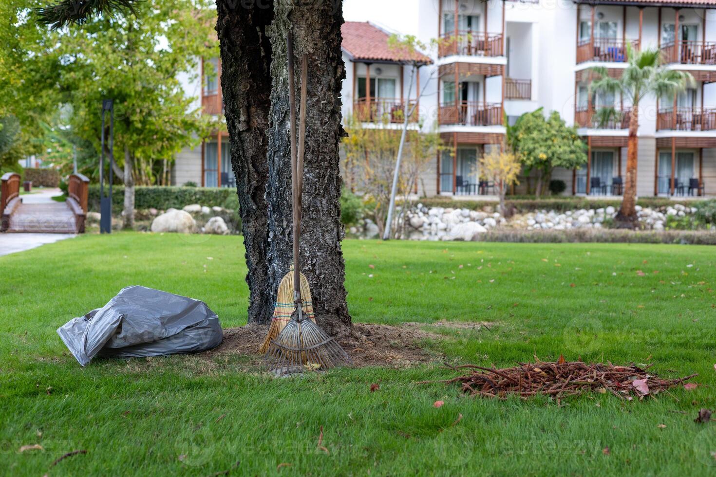 Raking leaves and cleaning up the garden in a residential area on a sunny day photo