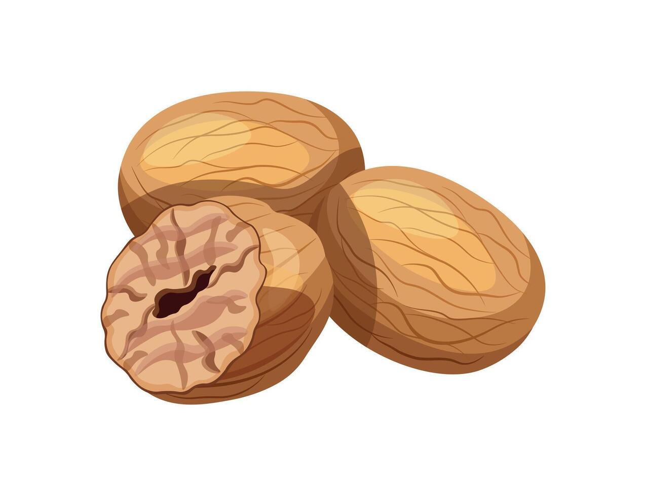 Delicious nutmegs isolated on white background. Flat illustration of a pile of whole and half nutmegs in cartoon style. Nutmeg icon. Aromatic spices. vector