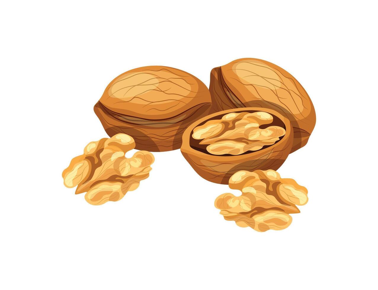 Walnuts isolated on white background. Flat illustration of a delicious handful of peeled and shelled walnuts in cartoon style. Walnut icon. Healthy, organic snacks. vector