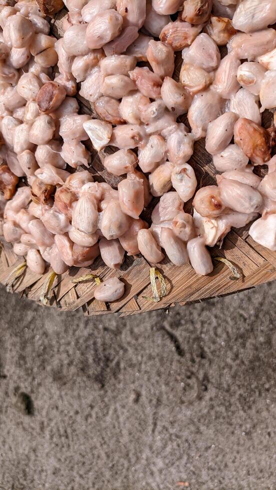 Selective focus on wet or raw cocoa beans that are dried in the sun. photo