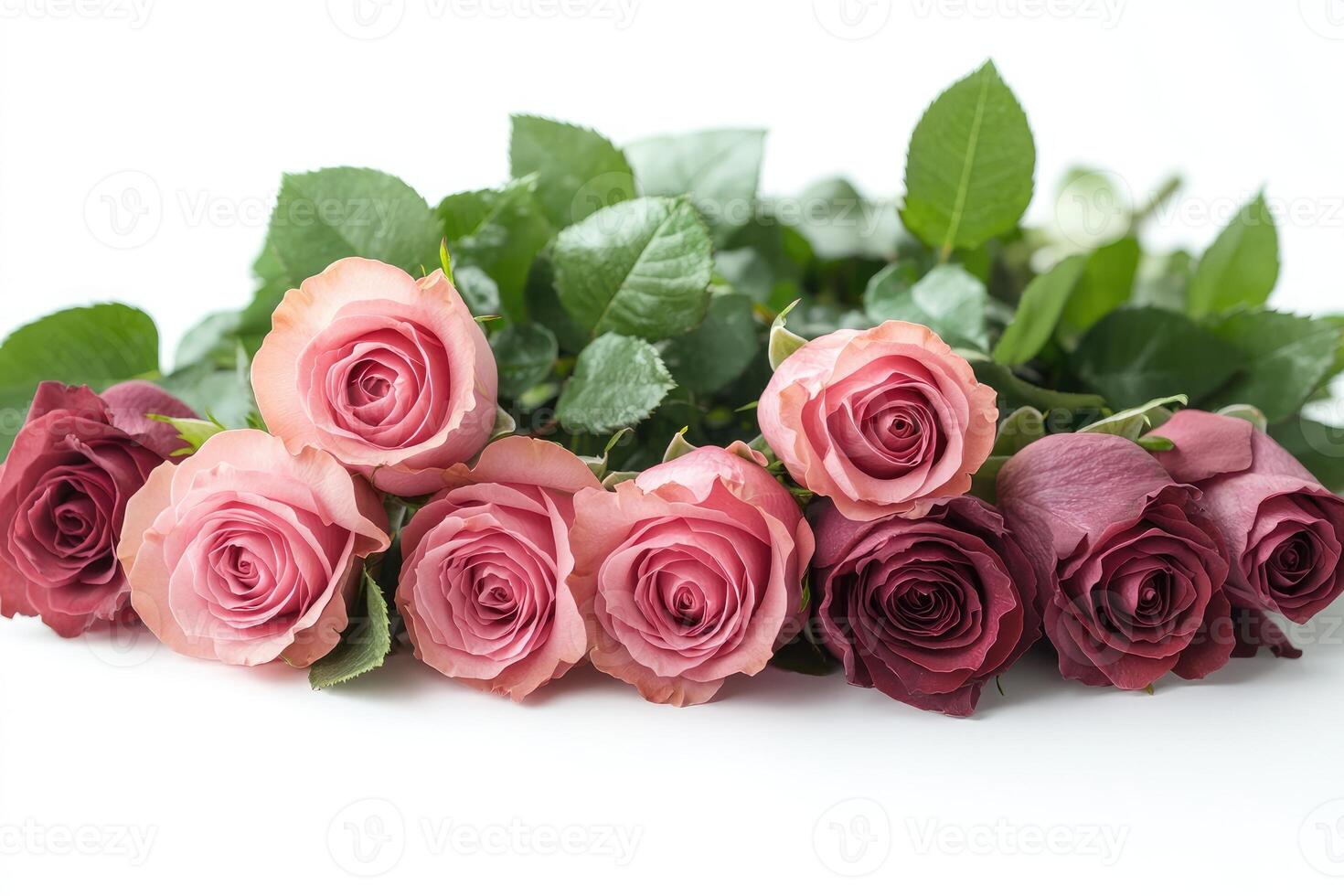 Pink and red roses lying on a white surface photo