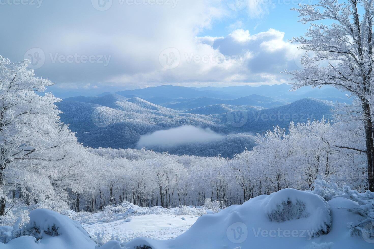 Snow covered trees and mountains creating stunning winter landscape. photo