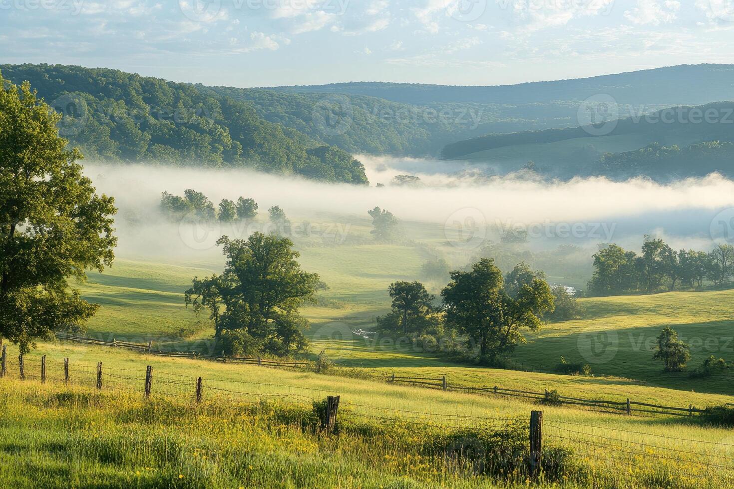 Fog covering lush green pastures in the early morning light photo