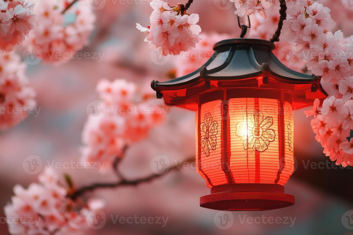 Red japanese paper lantern hanging from cherry blossom tree branch. photo