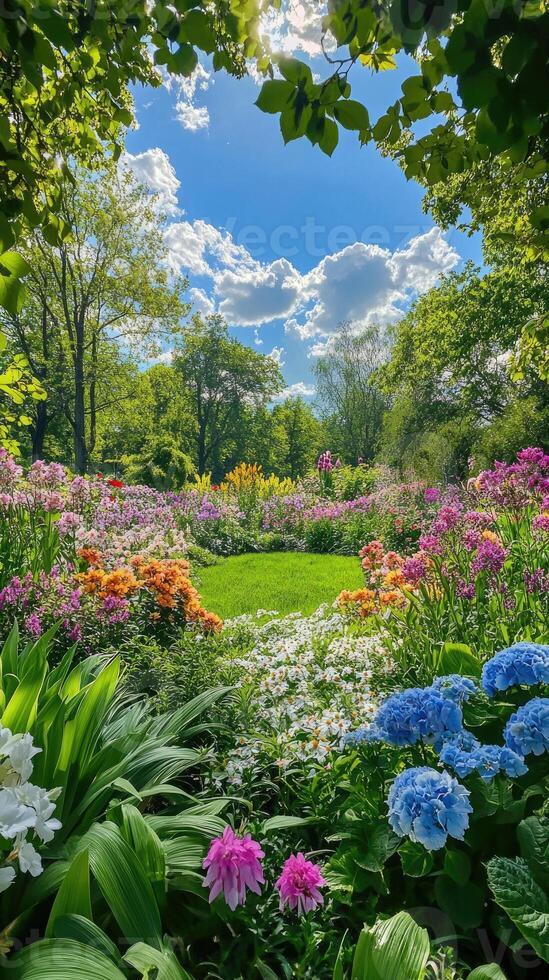 Beautiful colorful tulips blooming in spring botanical garden. photo