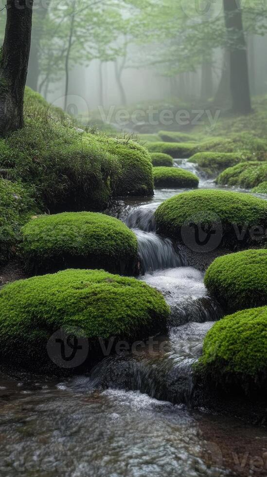 Magical forest creek flowing through mossy rocks in foggy weather photo