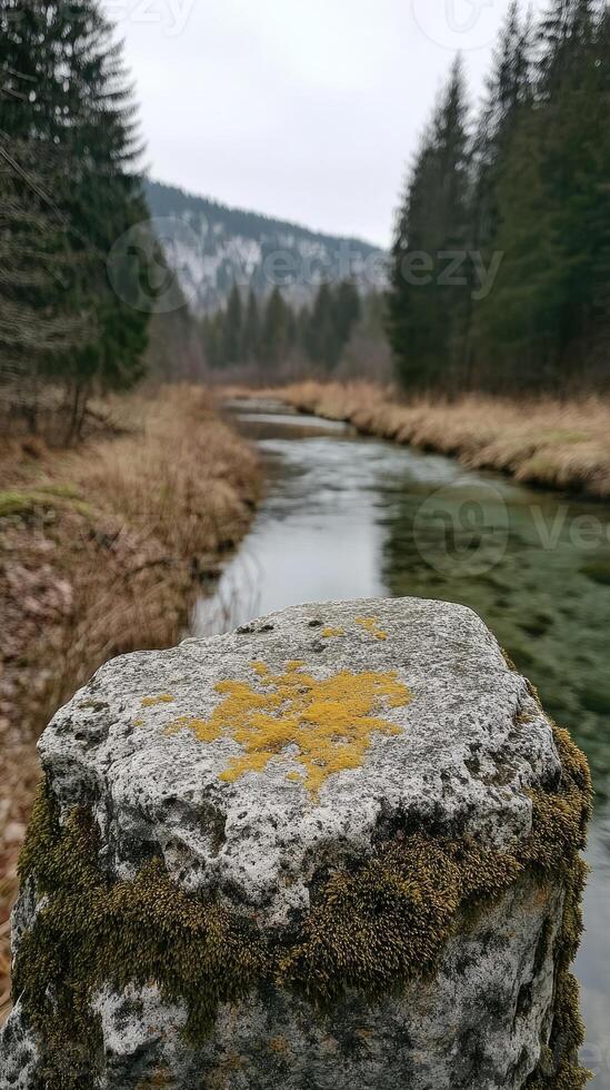 Mossy rock overlooking serene river in forest landscape photo