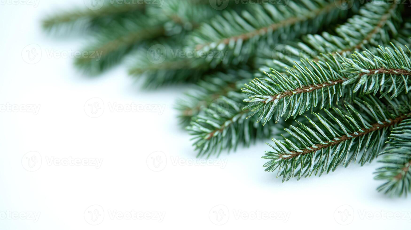 Fresh pine branches create a calming aesthetic, ideal for holiday arrangements photo