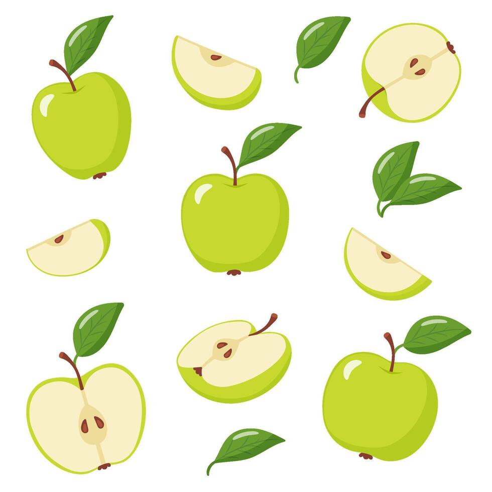 set of green apples with leaves vector