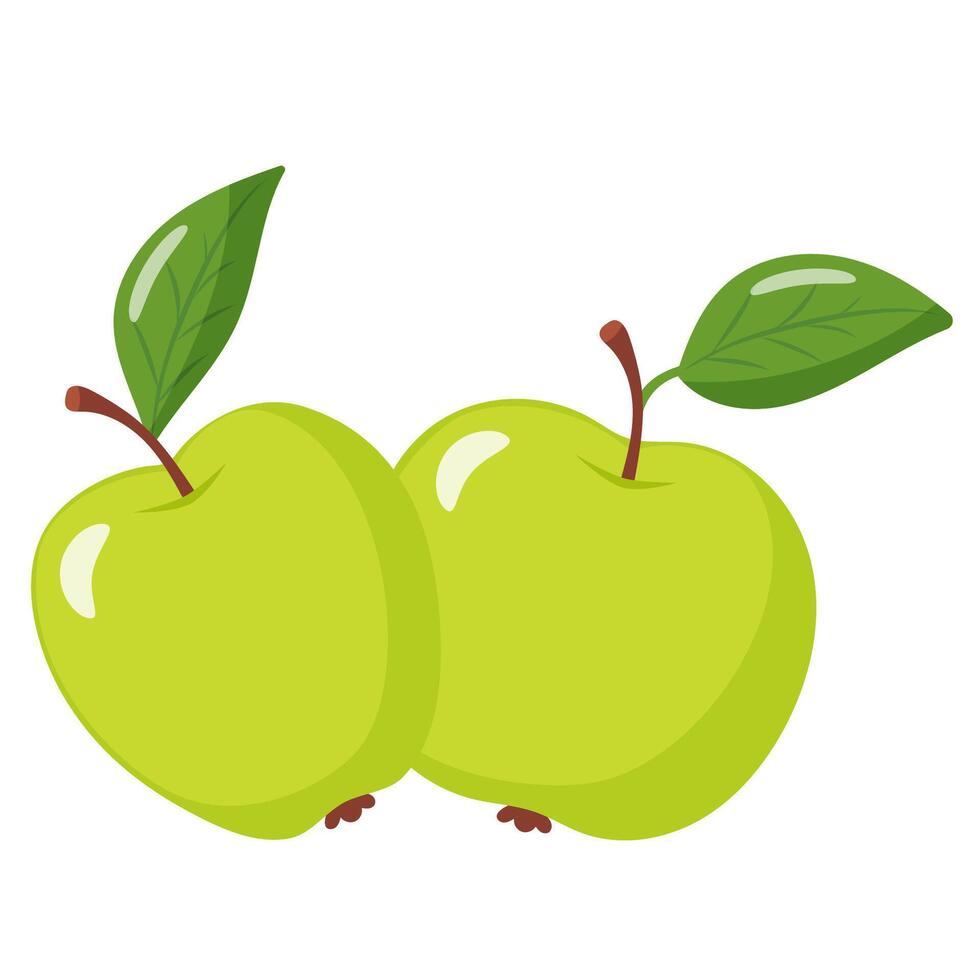 two green apples with leaves vector
