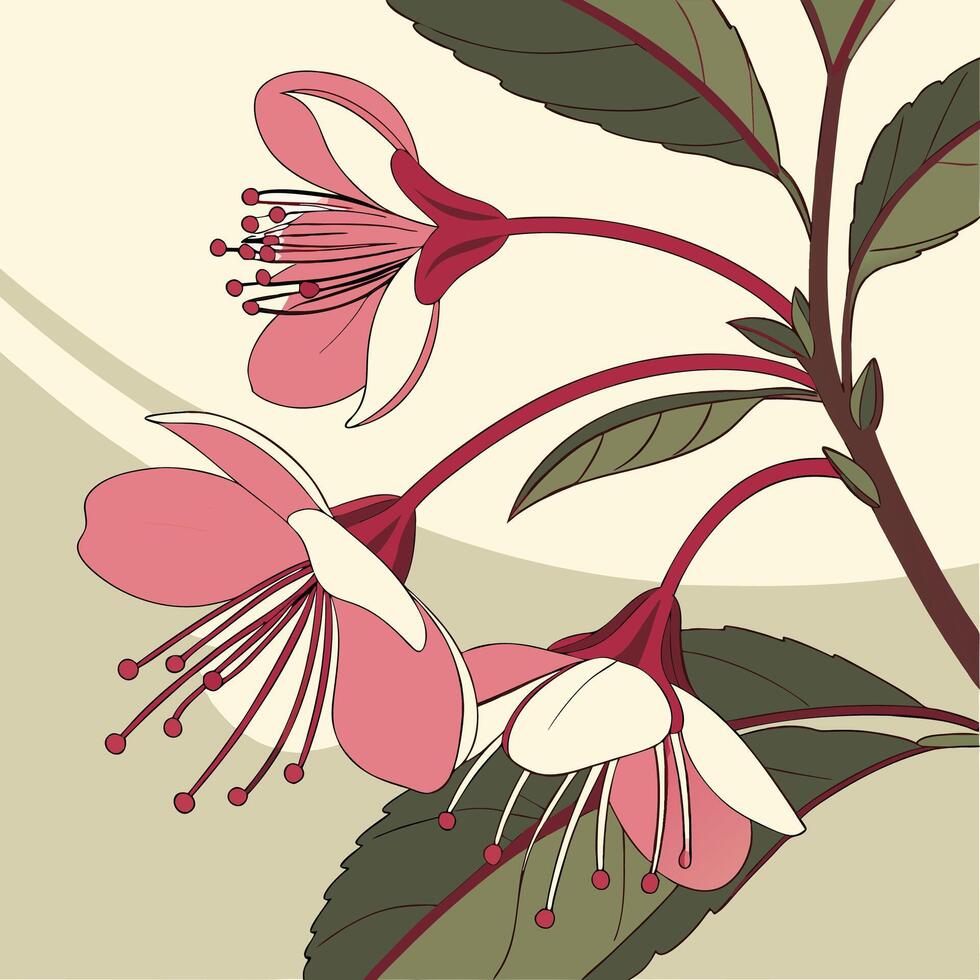 The illustration of impatiens flower vector