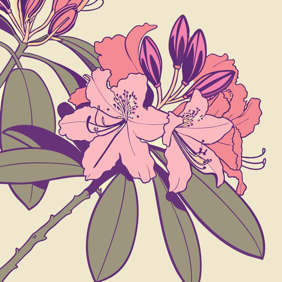 The illustration of rhododendron flower vector