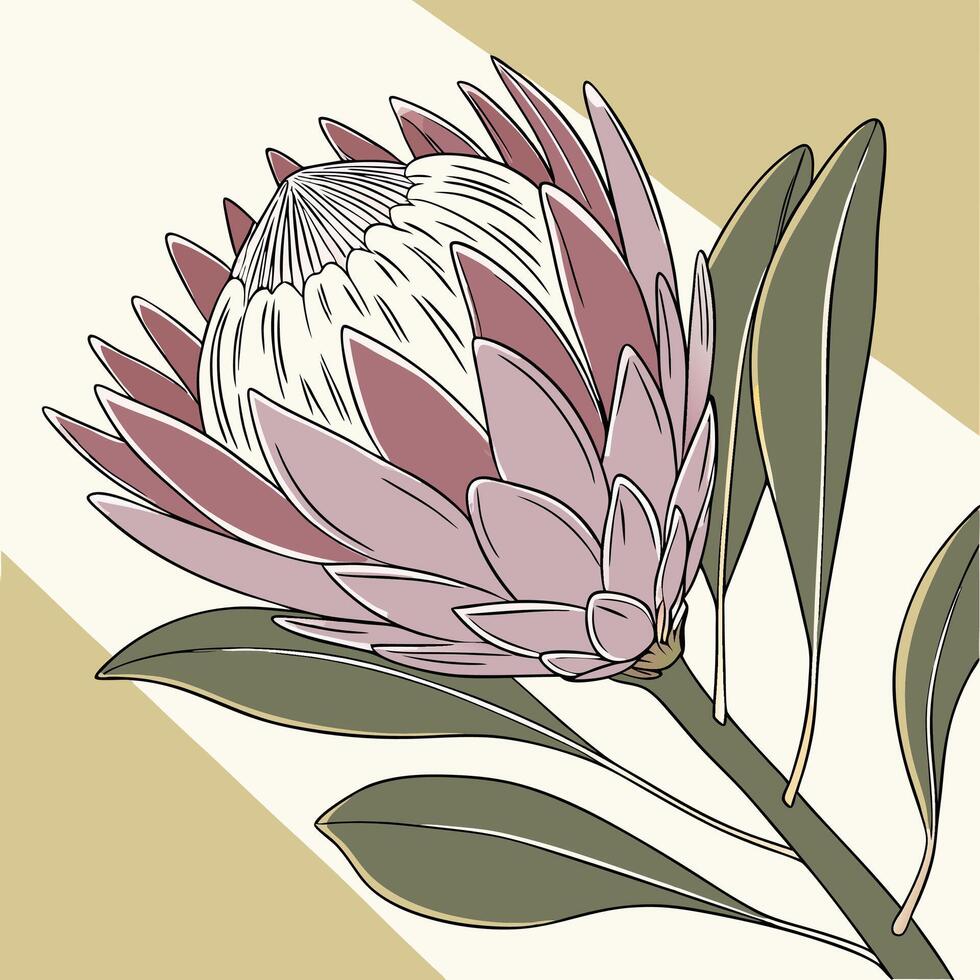 The illustration of king protea flower vector