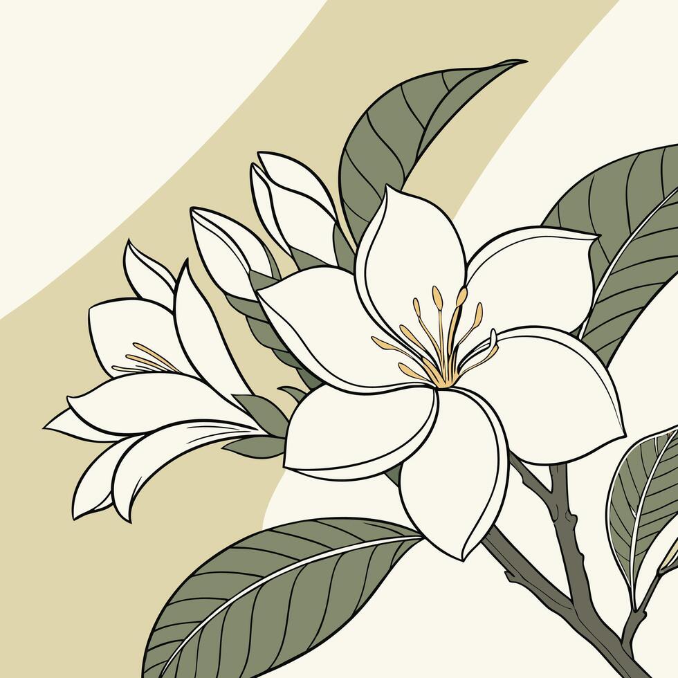 The illustration of gardenia flower vector