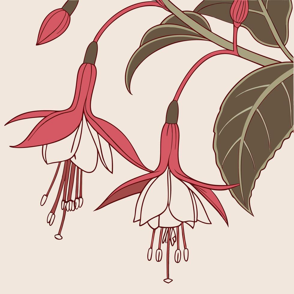 The illustration of torch ginger flower vector