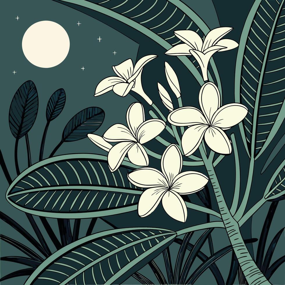 The illustration of night blooming jasmine flower vector