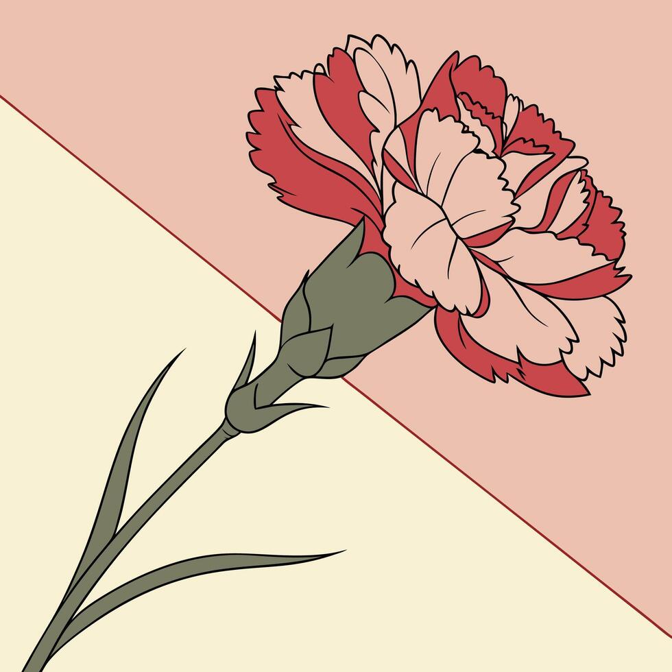 The illustration of carnation flower vector