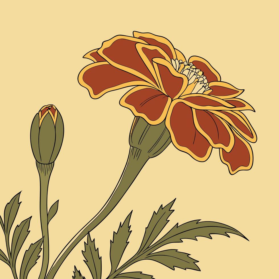 The illustration of marigold flower vector