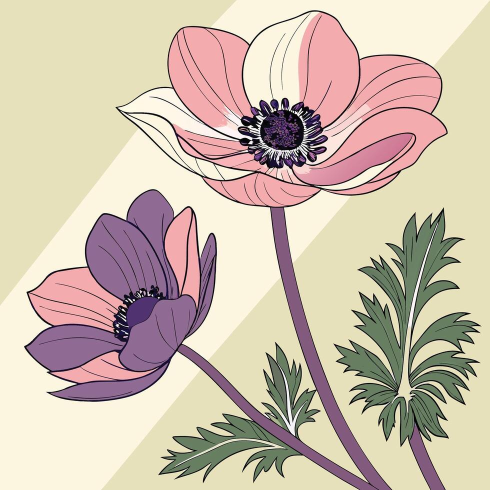 The illustration of anemone flower vector