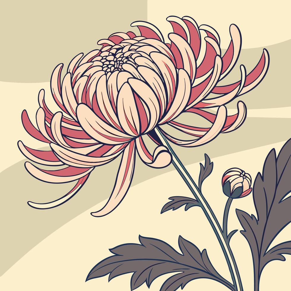 The illustration of chrysanthemum flower vector