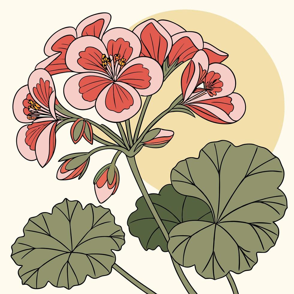 The illustration of begonia flower vector