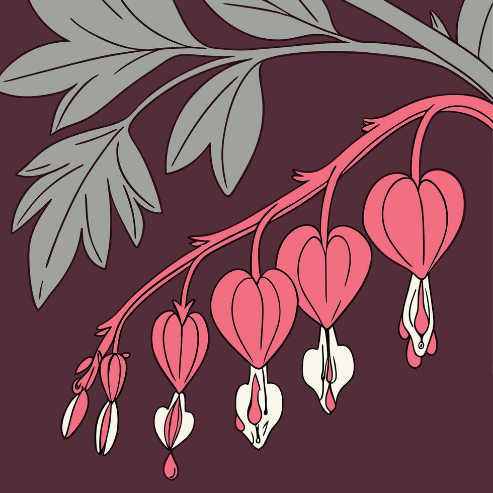 The illustration of bleeding heart flower vector