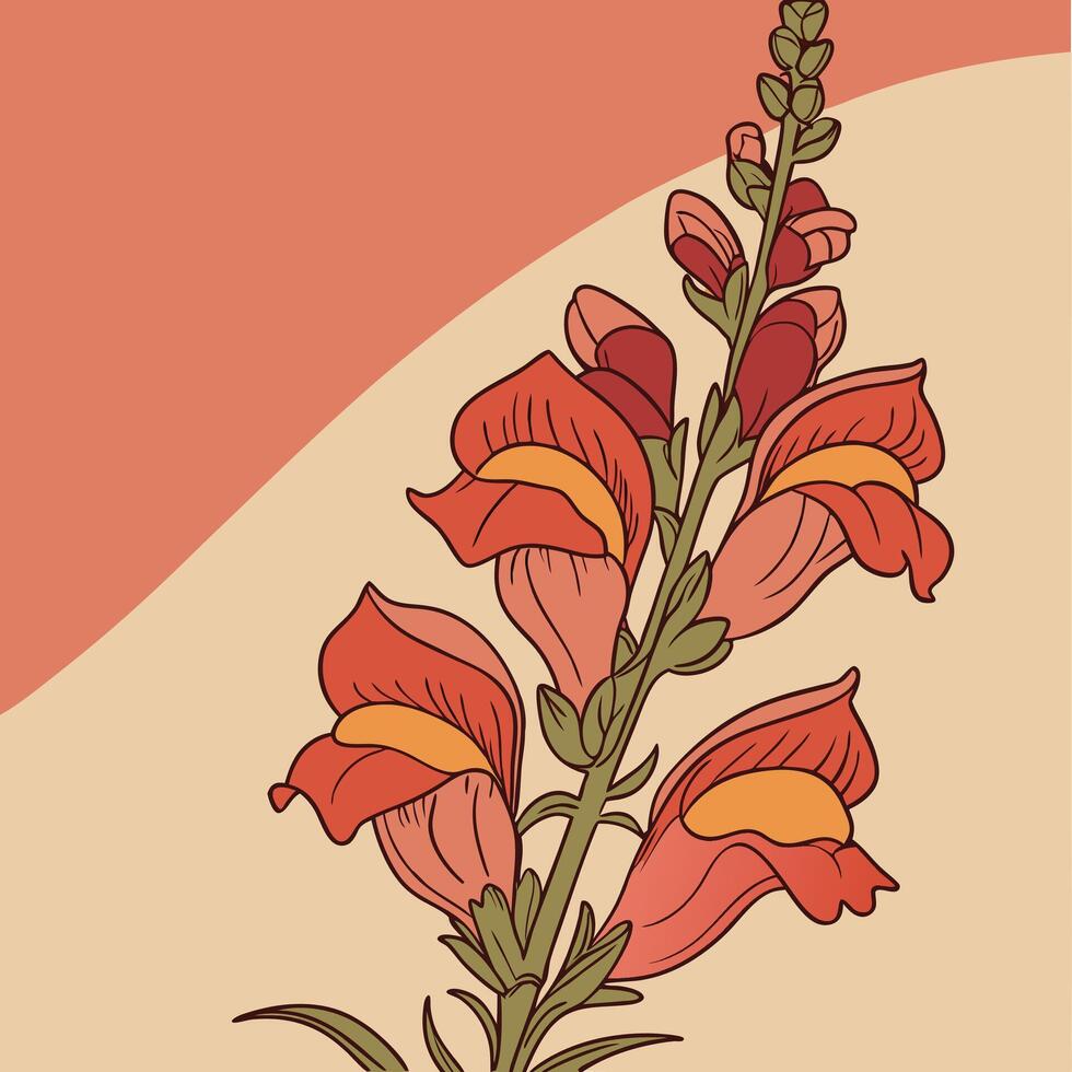 The illustration of snapdragon flower vector