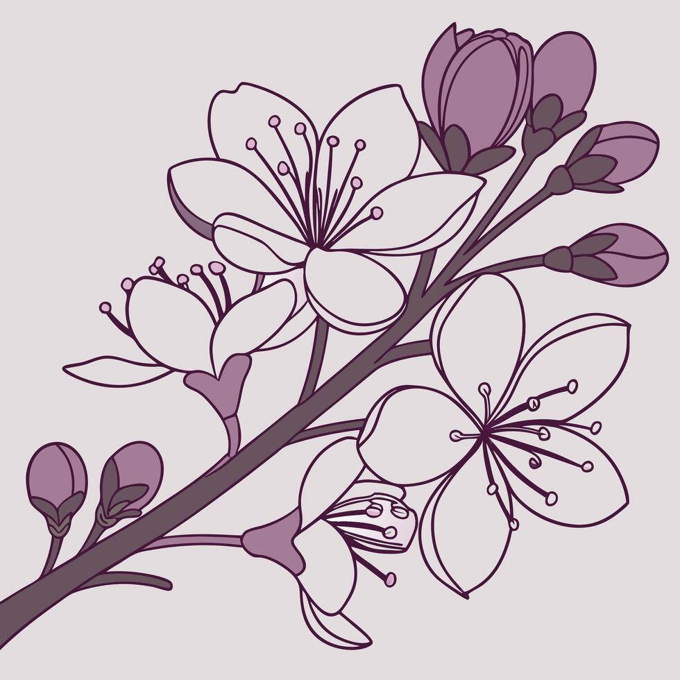 The illustration of lilac flower vector