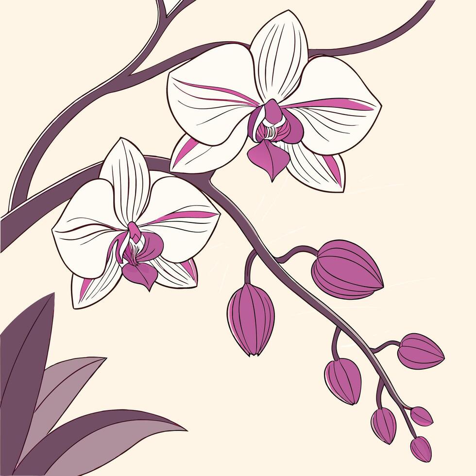 The illustration of orchid flower vector