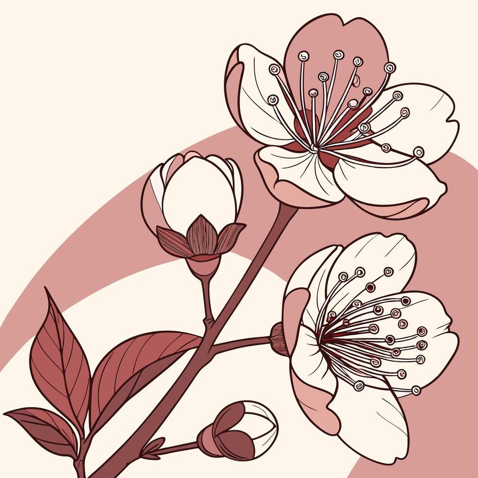 The illustration of peony flower vector