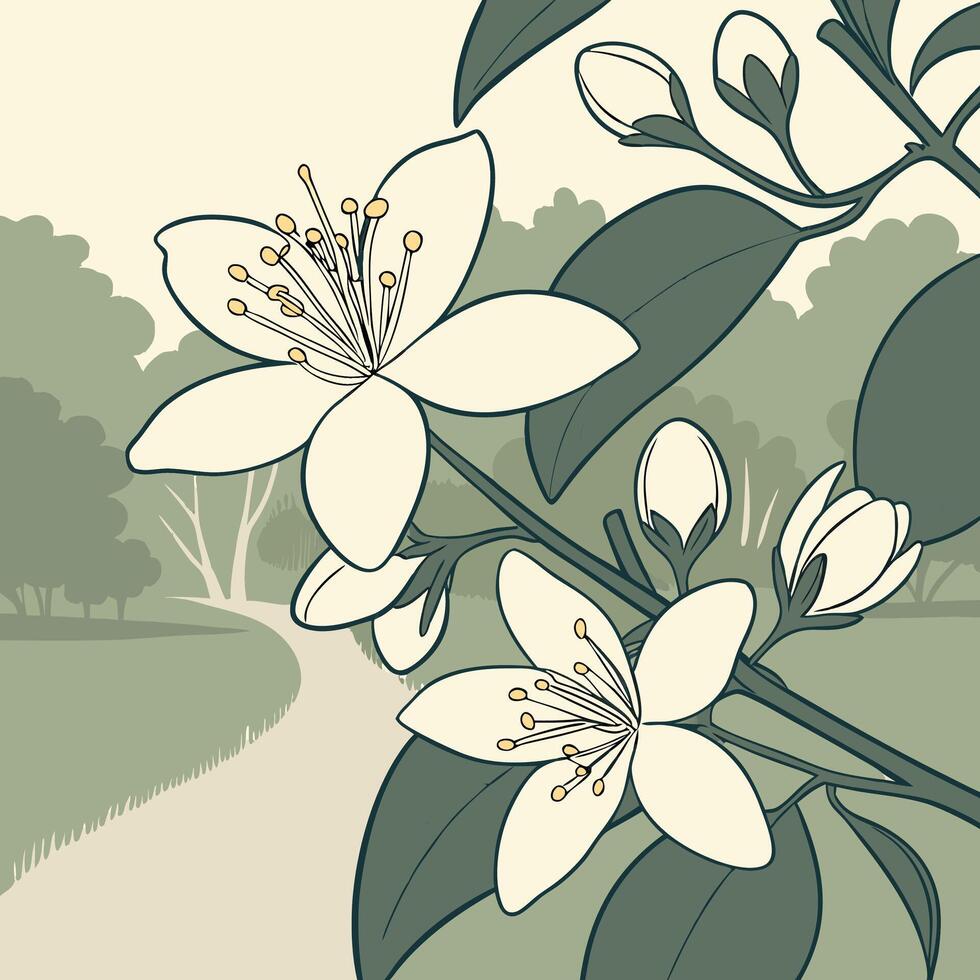 The illustration of jasmine flower vector