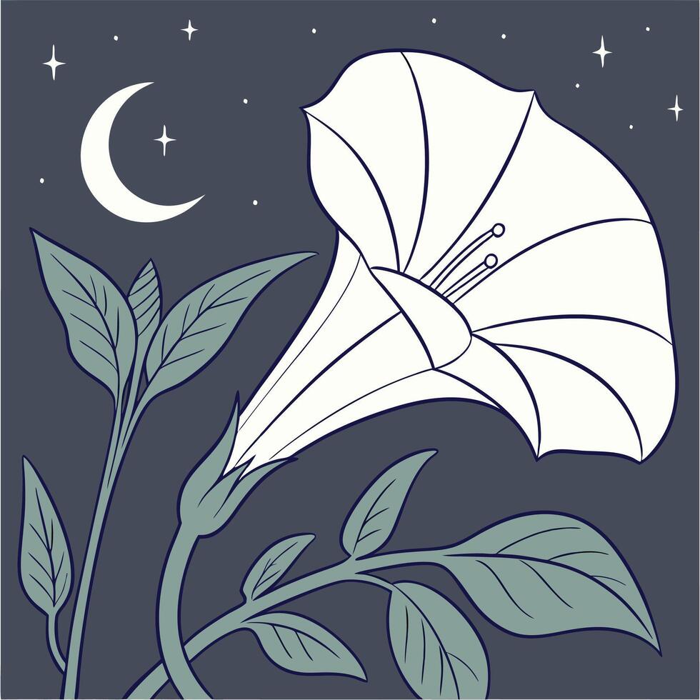 The illustration of moonflower flower vector