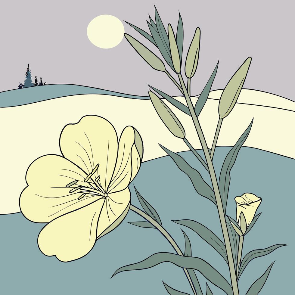 The illustration of oenothera evening primrose flower vector