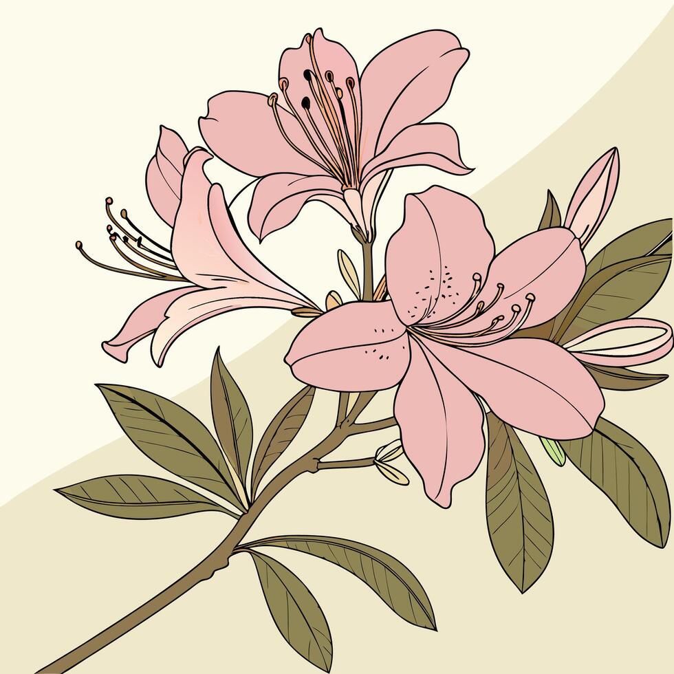 The illustration of azalea flower vector