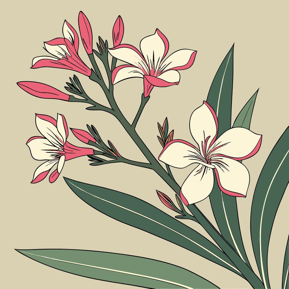 The illustration of oleander flower vector