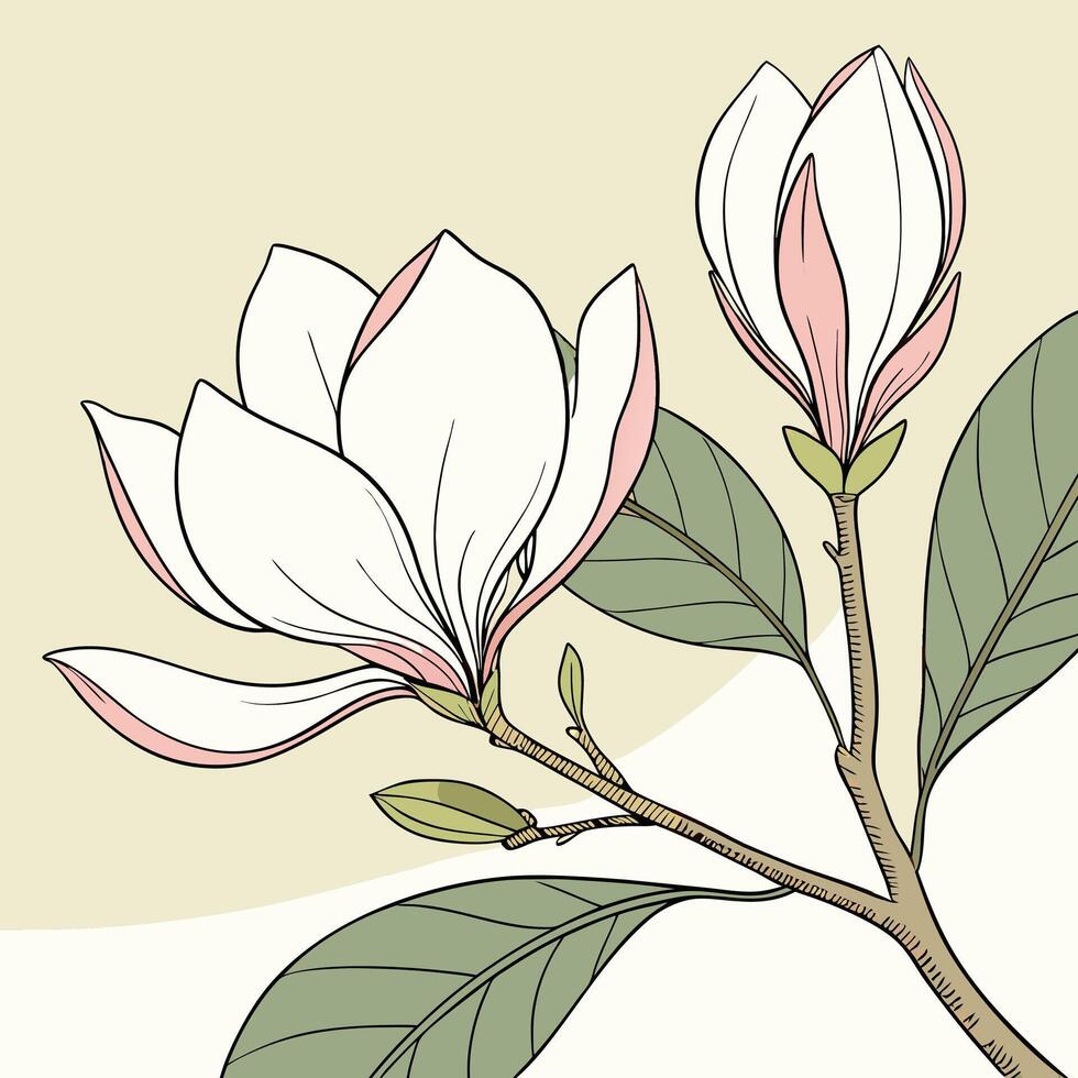 The illustration of magnolia flower vector
